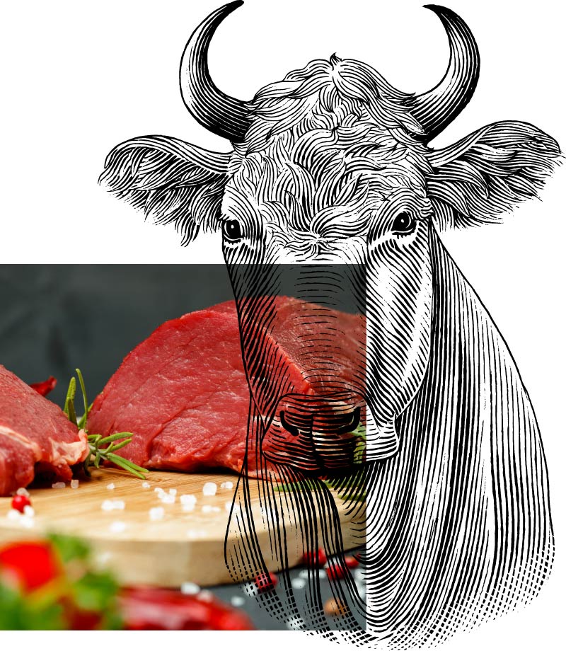 Carni Bovine